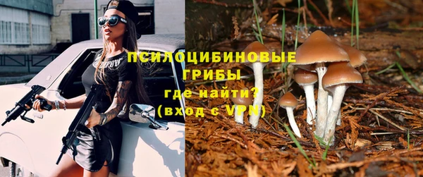 эйфоретик Саяногорск