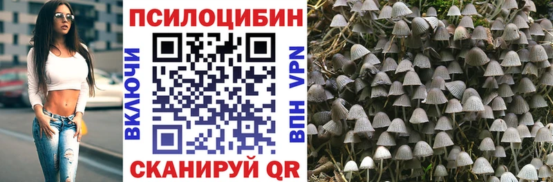 Псилоцибиновые грибы Magic Shrooms  Злынка 