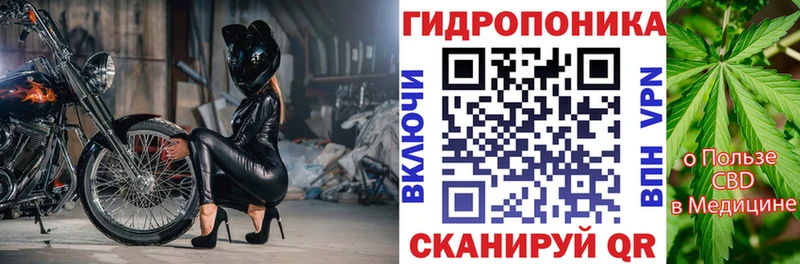 mega ONION  Злынка  Бошки Шишки Amnesia 